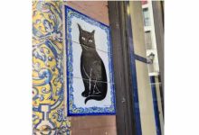 Deshalb sind die Gewinnchancen bei El Gordo so hoch