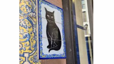 Deshalb sind die Gewinnchancen bei El Gordo so hoch