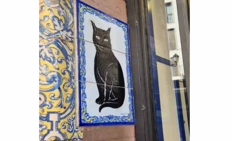 Deshalb sind die Gewinnchancen bei El Gordo so hoch